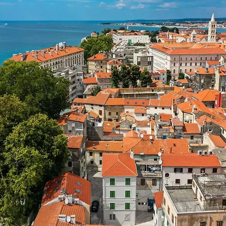 דירה 1914 Studio זאדאר